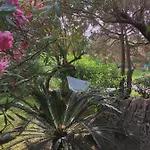 4 Порто-Ротондо