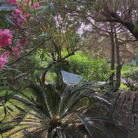 4 Porto Rotondo